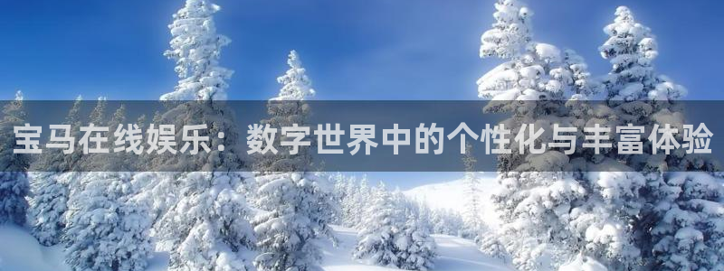 安信12登录入口最新版本更新内容