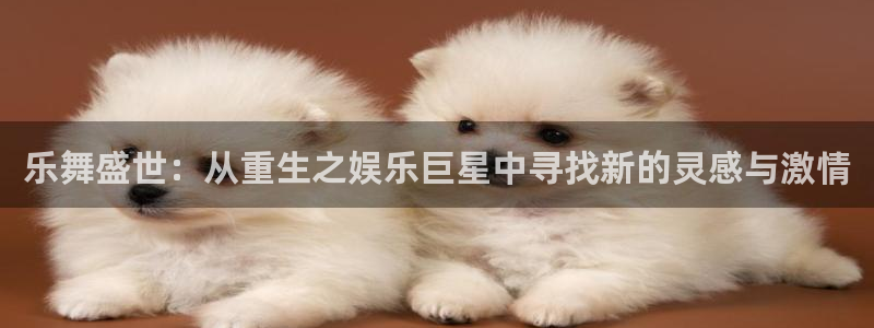 安信12最新版本更新内容