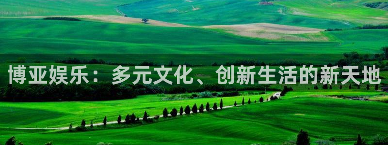 安信12平台