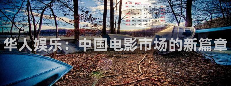 安信12平台