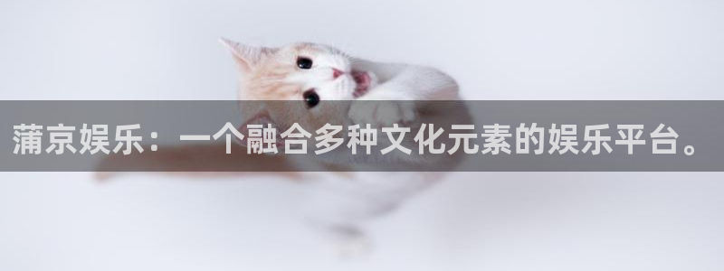 安信12最新版本更新内容