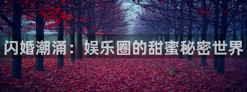 安信12登录入口官网